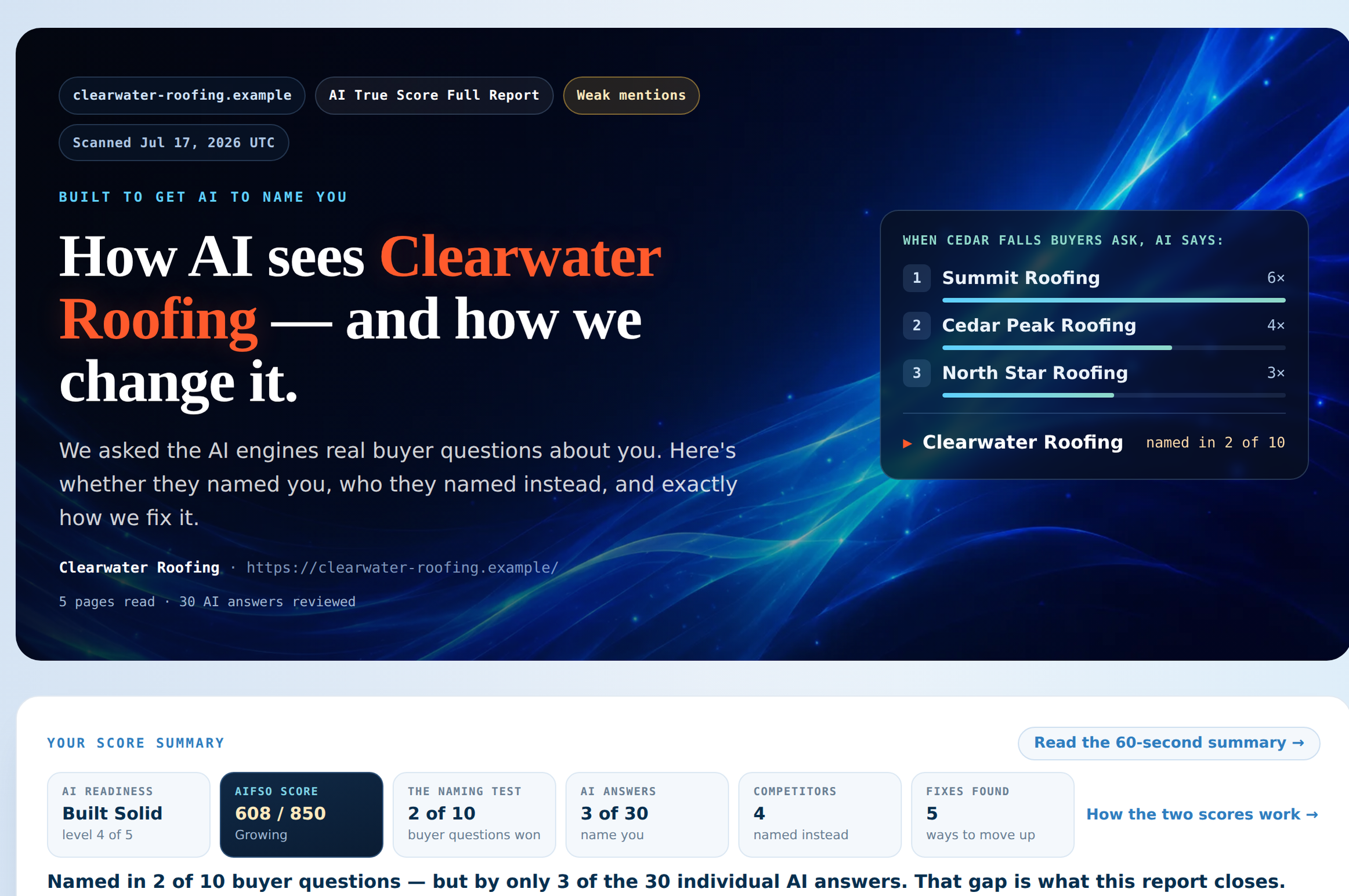 The AI True Score Full Report, sample data, full view